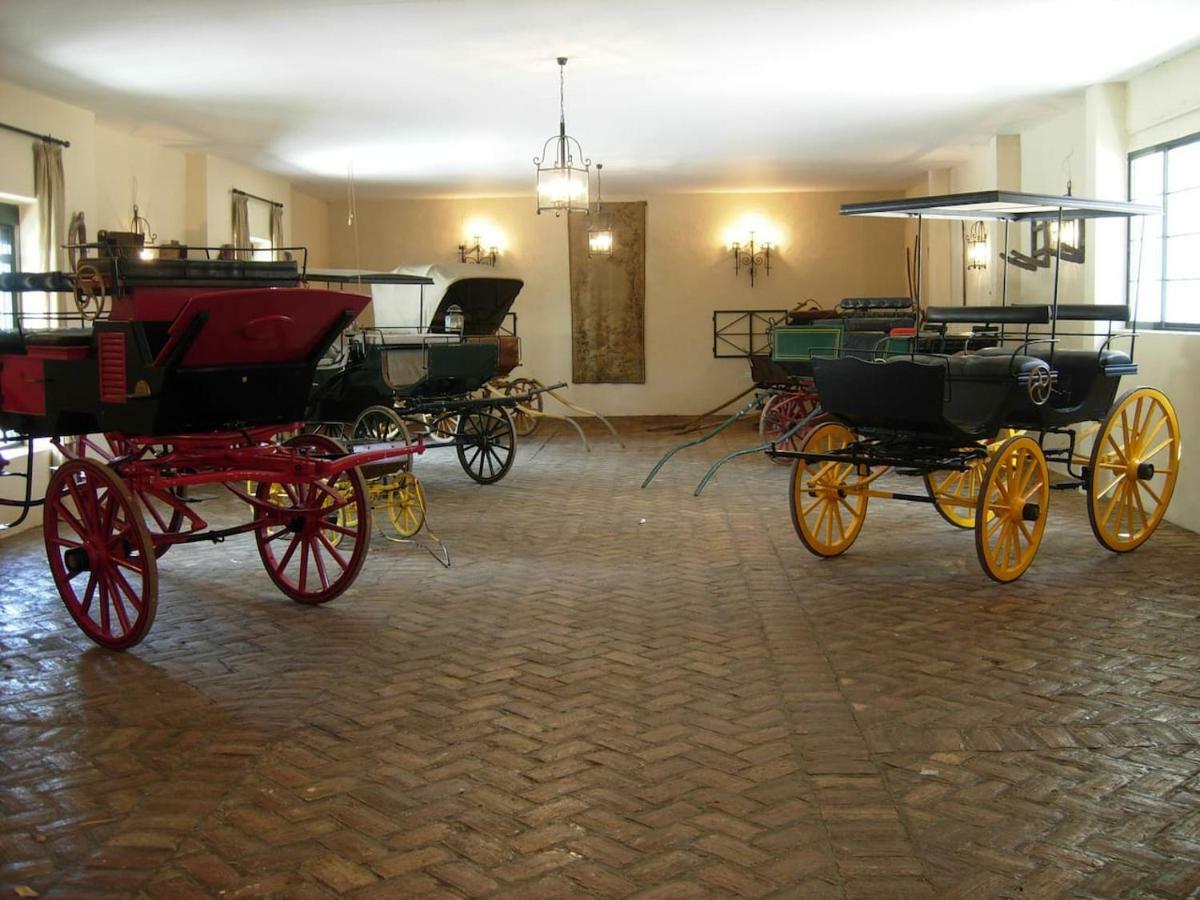 Hacienda Chambergo Casa En La Campina Sevillana Écija Eksteriør bilde